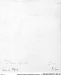 Historisches Foto (Rückseite) von Cracensigillatus gracilirostrus (Robins et al., 2013) (NHMW-AFW-GEO-BACHMAYER-FOTO-1990-0041-1960)